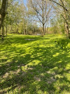 Landlig villa med 3959m2 grund - Billede 4 af 30