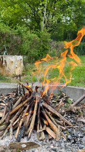 Dejlig kolonihave i Brønderslev - Billede 3 af 12