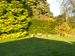 Ebeltoft, Sommerhus  - Billede 9 af 20