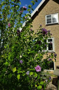 Murstensvilla fra 50'erne - Billede 18 af 18