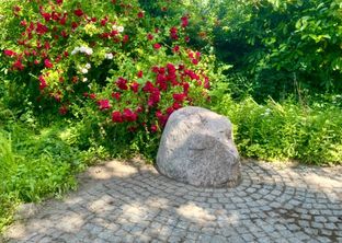 Søger I en charmerende bolig med personlighed og mange smukke detaljer, så kig nærmere på dette dobbelthus beliggende i rolige omgivelser tæt på skov og strand.  - Billede 22 af 28