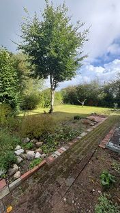 Charmerende landvilla med stor have og masser af muligheder i Lydersholm (Tønder kommune) - Billede 7 af 44
