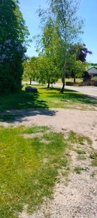 Udlejnings ejendom med lejer.  - Billede 7 af 10