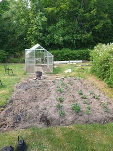 Dejlig kolonihave i Brønderslev - Billede 11 af 12