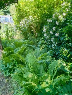 Søger I en charmerende bolig med personlighed og mange smukke detaljer, så kig nærmere på dette dobbelthus beliggende i rolige omgivelser tæt på skov og strand.  - Billede 21 af 28