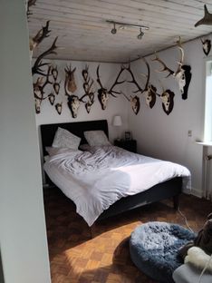 Hus med lukket have i 6622 Bække - Billede 5 af 12