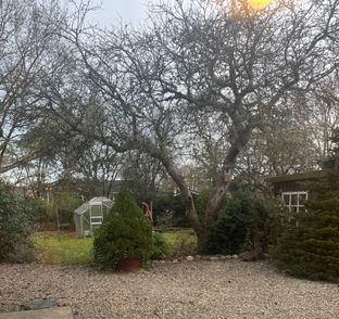 Hyggeligt hus med skøn have - Billede 7 af 8