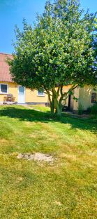 Udlejnings ejendom med lejer.  - Billede 9 af 10