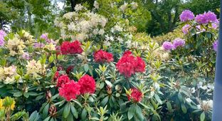 Søger I en charmerende bolig med personlighed og mange smukke detaljer, så kig nærmere på dette dobbelthus beliggende i rolige omgivelser tæt på skov og strand.  - Billede 26 af 28
