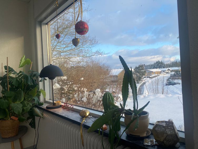 Roligt beliggende parcelhus tæt på naturpark  - Bøgstedvej 313, Astrup , Hjørring