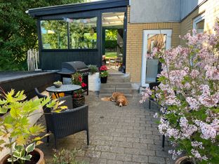  Charmerende indretning og lukket have  - Billede 4 af 17