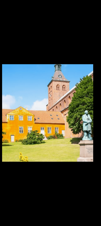 Lejligheden på 1 sal  - Frederiksgade 5C 1tv , Odense C