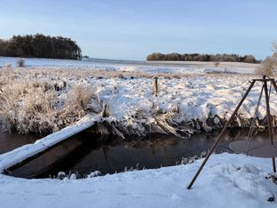 Skønt beliggende byhus til salg i Idom - Billede 15 af 29