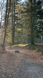 Roligt beliggende parcelhus tæt på naturpark  - Billede 6 af 20