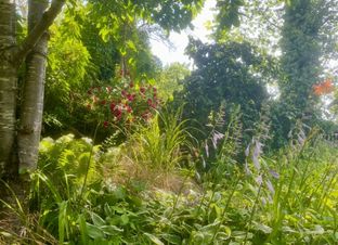 Søger I en charmerende bolig med personlighed og mange smukke detaljer, så kig nærmere på dette dobbelthus beliggende i rolige omgivelser tæt på skov og strand.  - Billede 23 af 28