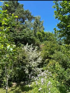 Søger I en charmerende bolig med personlighed og mange smukke detaljer, så kig nærmere på dette dobbelthus beliggende i rolige omgivelser tæt på skov og strand.  - Billede 25 af 28