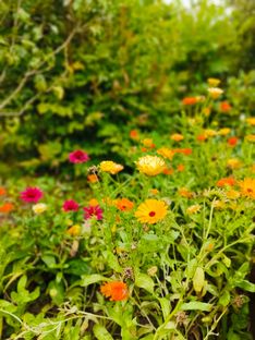 Murstensvilla fra 50'erne - Billede 17 af 18