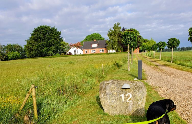 Landejendom med naturskøn beliggenhed  - Gl Revlvej 12, Kjellerup
