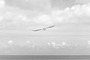 Hyggelig kolonihave - Billede 3 af 8