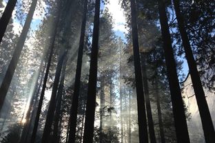 Veletableret landbrug - Billede 6 af 7