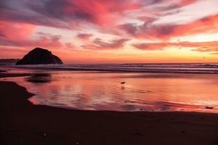 Lyst værelse i roligt område - Billede 5 af 8