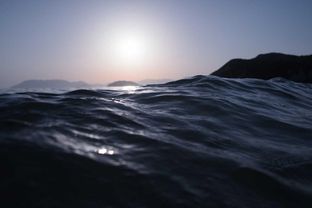 Traditionelt sommerhus - Billede 4 af 5